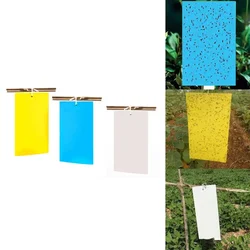 100 Pcs Stick-a-Fly Sticky Trap 22 cm x 28 cm(Color-Yellow)